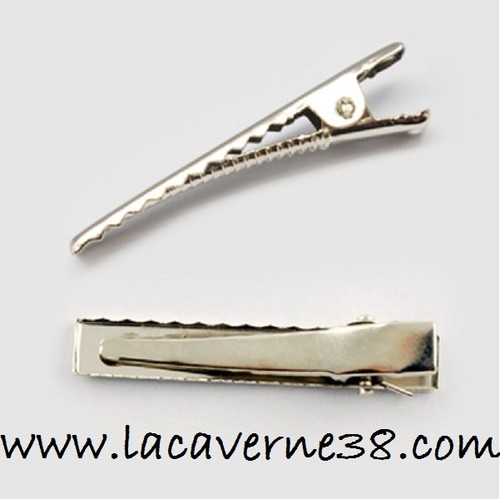 Lot barrette pince à - pince,