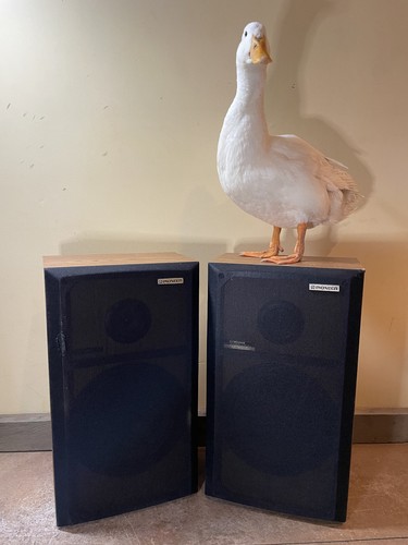 Pair retro pioneer g104a - pioneer, cs-g104a