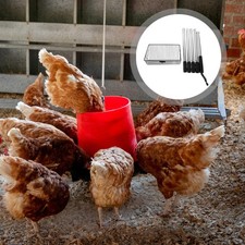 Ramasse-crottes : ramasse-crottes pour le nettoyage du poulailler -