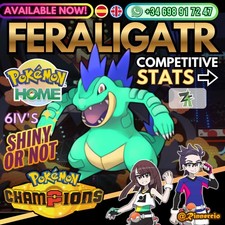 VGC compétitif brillant