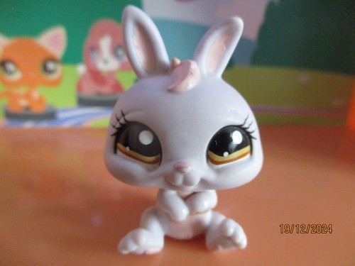 Petshop lapin nain 1050 - lapin,