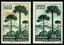 CHILE, MONKEY TREE, ARAUCARIA, FLORA, MNH, NICE SET