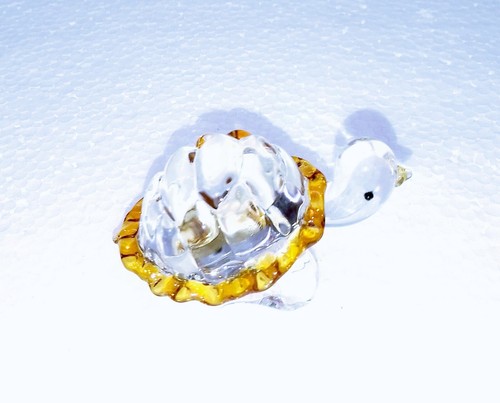 Petite tortue terre en - ,