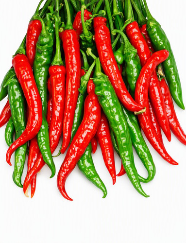 Graines piment doux - 50,