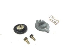 HONDA FORESIGHT 250 Membrane