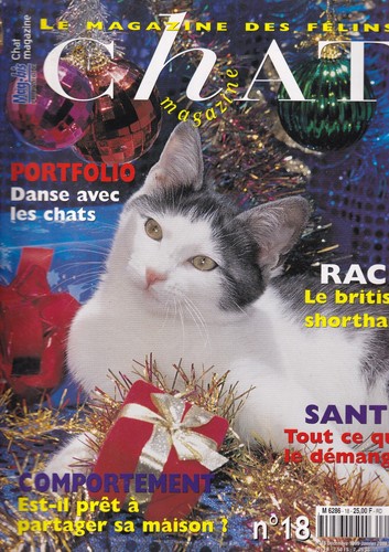 Atout chat british - chat, n°18