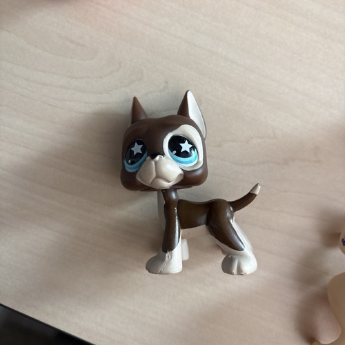 Petshop chien dogue - -,