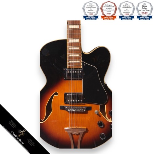 Guitare jazz ibanez af75bs - guitare,
