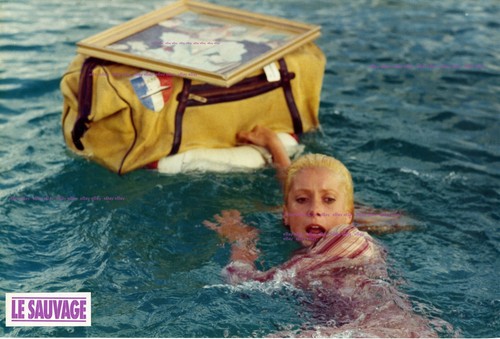 Catherine deneuve sauvage - deneuve, le