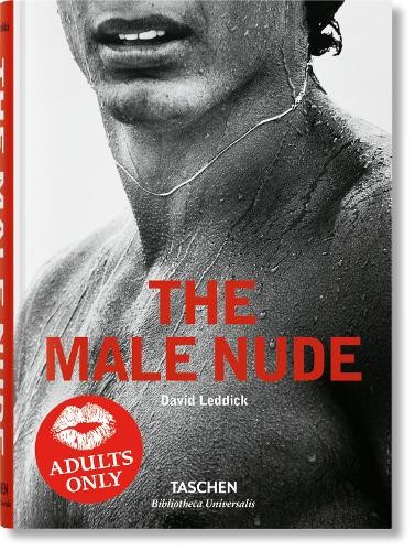 David leddick the male nude - david,