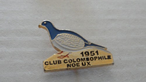 Pin bird pigeon - pin, s