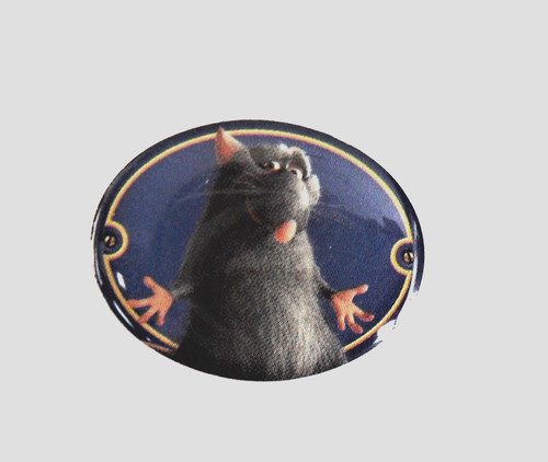 Rnt pin disney - pin's,