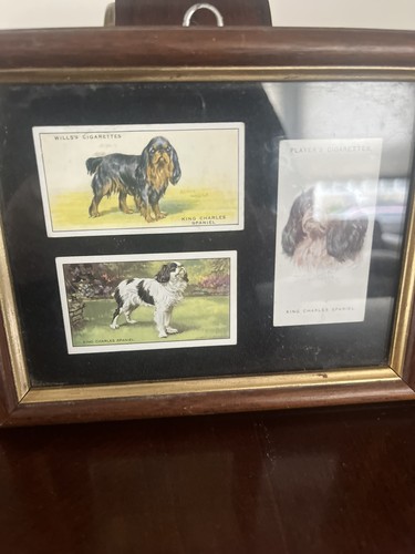 Vintage british cavalier - british, king