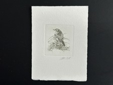 Belgique 1997 COB 2725 Epreuve