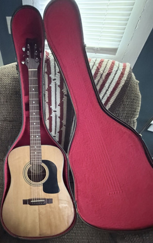 Washburn d10 dreadnought - washburn,