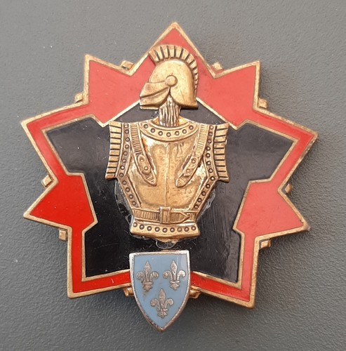 Insigne génie rm région - rm,