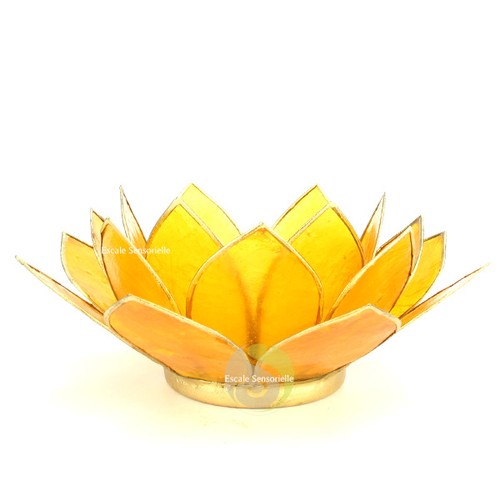 Photophores fleur lotus 7 - fleur, de