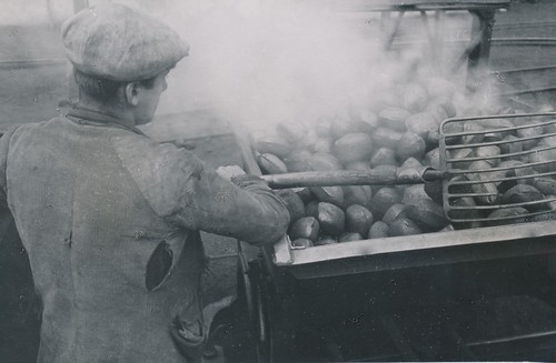 Turquie 1950 briquettes - turquie,