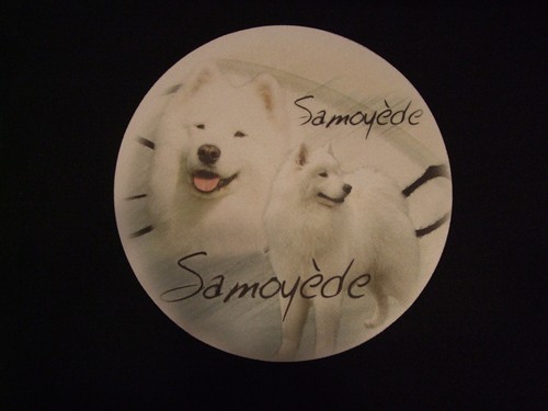 Tapis souris samoyede - de,