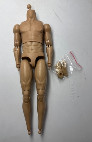 Scale narrow shoulder - scale,