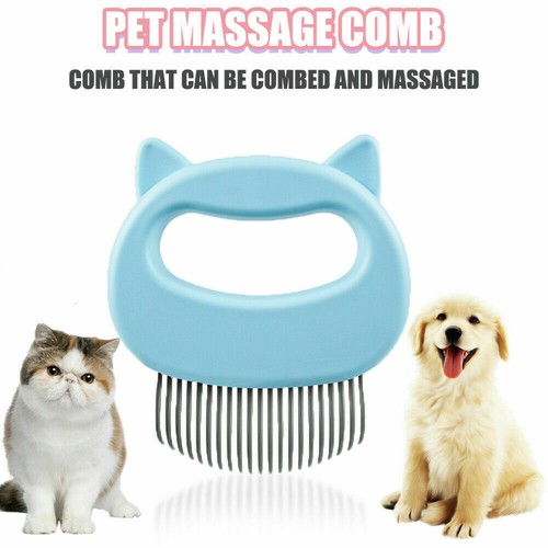 Animaux compagnie chat - de,