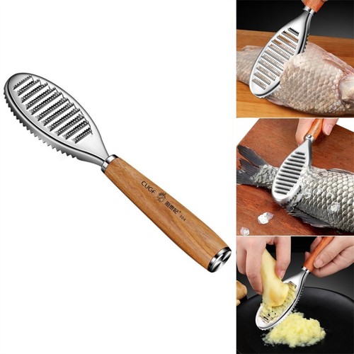Brosse écailles poisson - brosse,