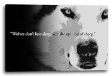 Toile/Cadres Krasser Spruch