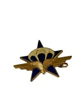 Insigne 1er RCP. 11 ème