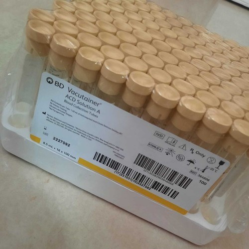 Jaune casquette acd - acd, tubes