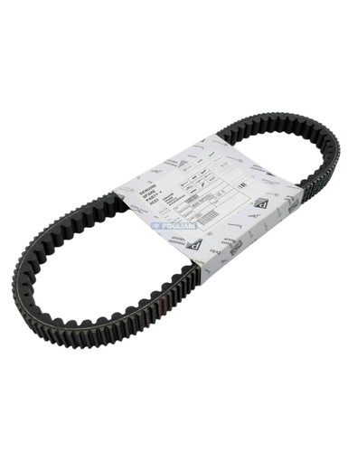 Courroie transmission oem - de,