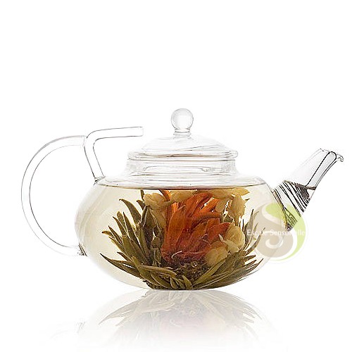 Théière verre filtre inox - en,