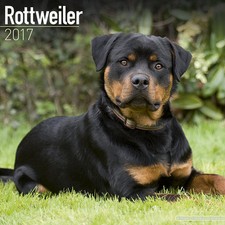 Calendrier 2017 - ROTTWEILER