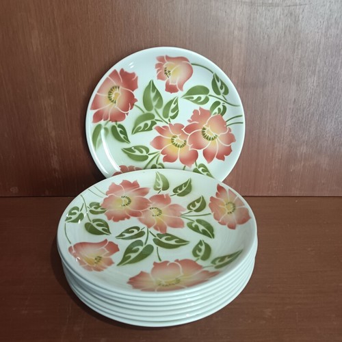 Lot assiettes plates moulin - lot,