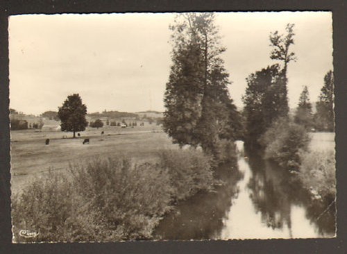 Maurs jolie bovins - maurs-la-jolie, en