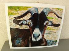 TABLEAU ACRYLIQUE CHEVRE  SIGNE MAEXI