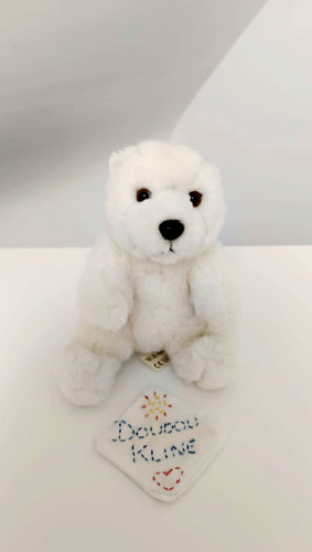 Peluche doudou petit ours - petit,