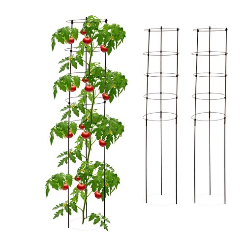Tuteur tomates aide croissance - tuteur,
