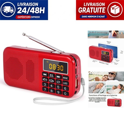Prunus 725 radio portable fm - j-725,