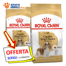 Royal Canin Chien → Adulte
