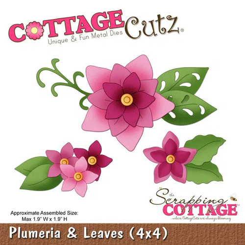 Die cut big shot - shot, sizzix