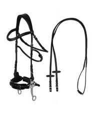 Briglia con hackamore in cuoio