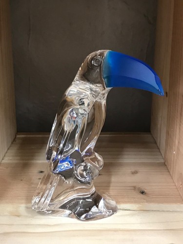 Toucan bec bleu - bec,