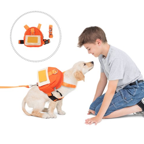 Cage transport pour - pour, animaux