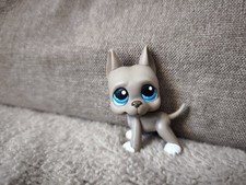 Authentique Littlest Pet Shop