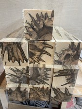 2 Pc Set . Premium  Ambrosia Maple  turning pc 3x3x12"  CLEAN!!!