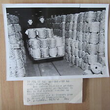 PHOTO DE PRESSE ORIGINALE 1940 ANGLETERRE FIL DE FER BARBELÉ  POUR LA FRANCE
