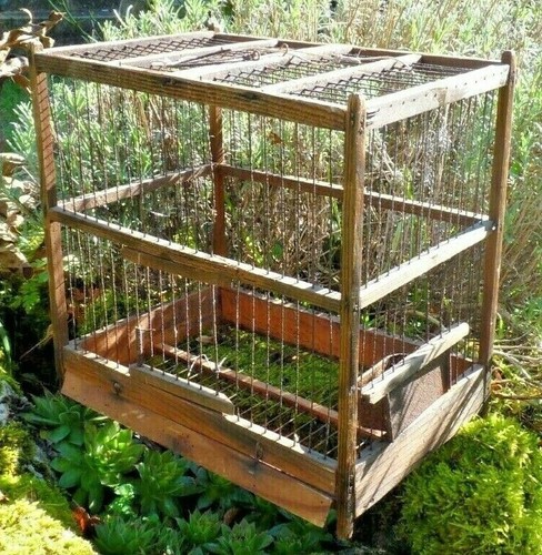 Ancienne cage oiseaux en - oiseaux,