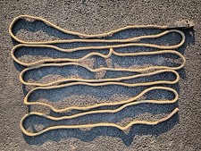 Longe de manège harnachement