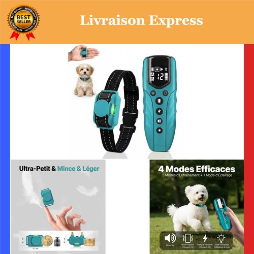 Collier dressage chien - collier, avec