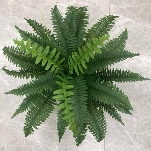 Grande plante suspendue